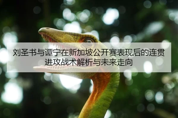 刘圣书与谭宁在新加坡公开赛表现后的连贯进攻战术解析与未来走向